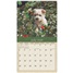Puppies 2026 Wall Calendar WCA103852